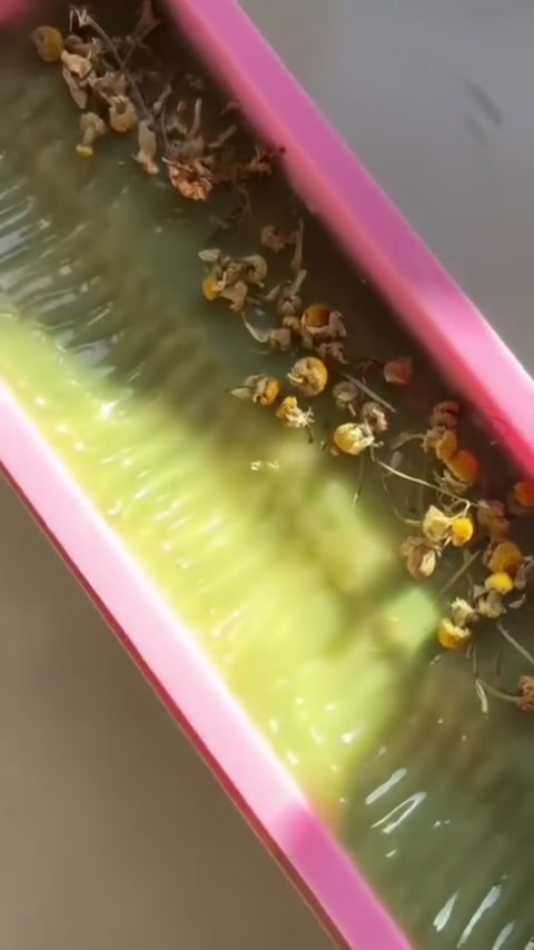 סבון בבונג עם פרחי קמומיל